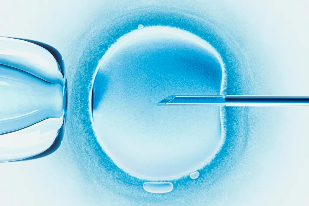 Fertilización in vitro en Costa Rica: Equipos imprescindibles para clínicas especializadas